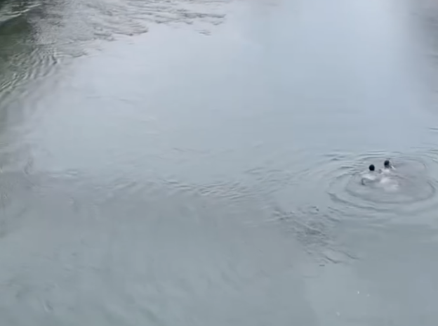 Captura de pantalla 2025-10-27 a las 2.35.15 p.m.